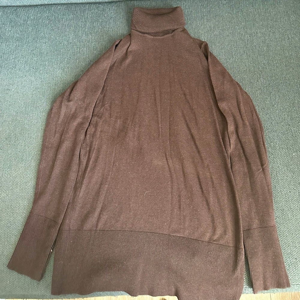 DG2 by Diane Gilman Turtleneck
